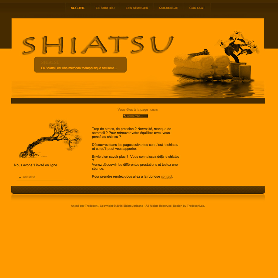 Création du site web www.shiatsuorleans.fr